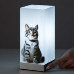 Lampada touch da tavolo con foto